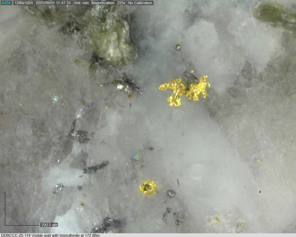 Ddrccc 25 119 172.86m