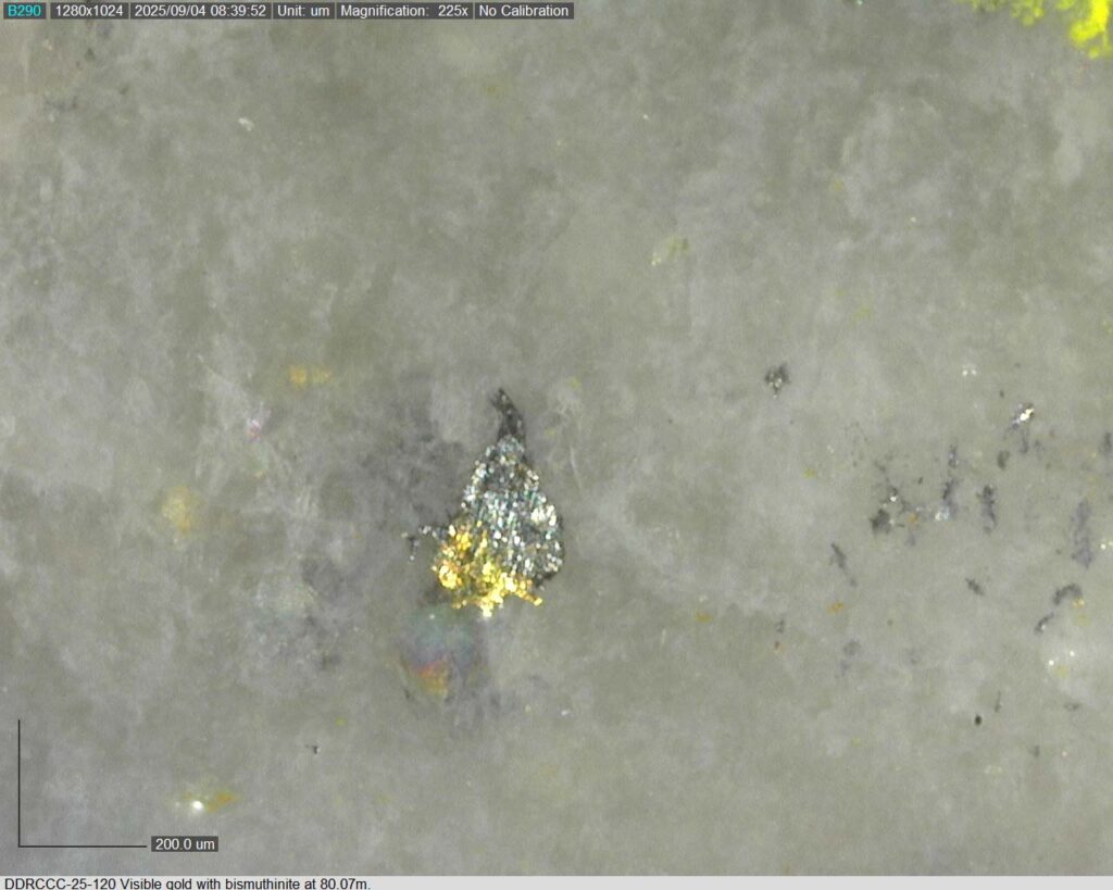 Ddrccc 25 120 80.07m