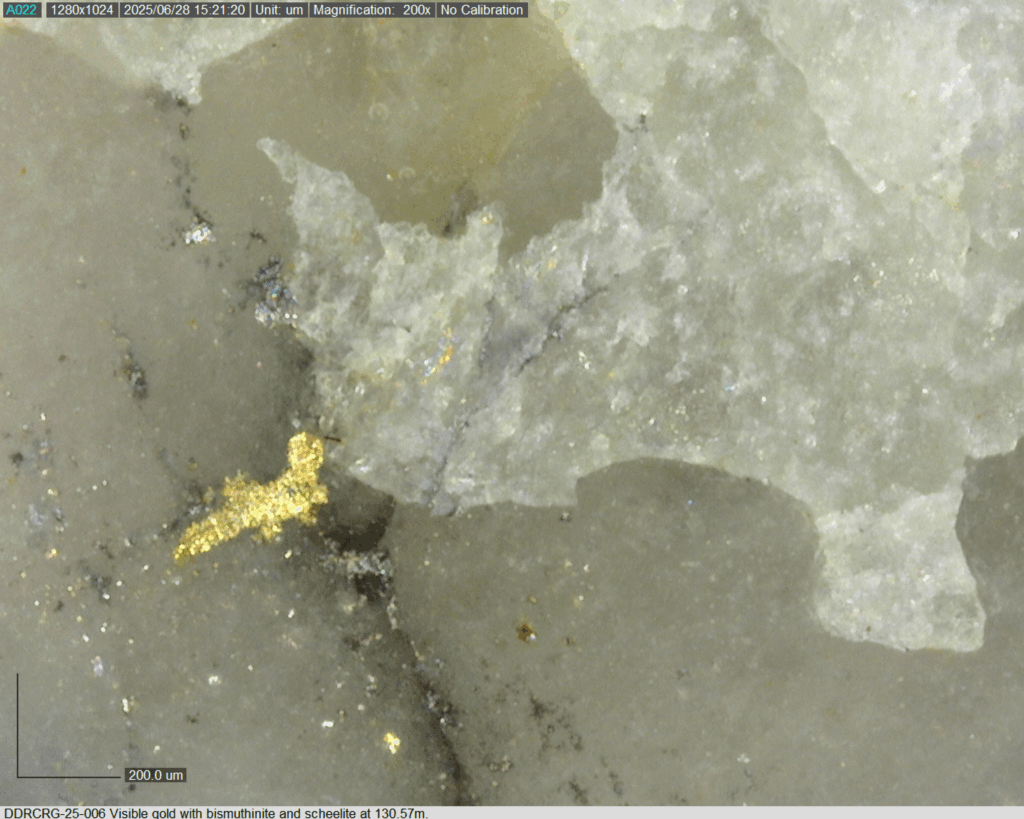 Ddrcrg 25 006 130.57m