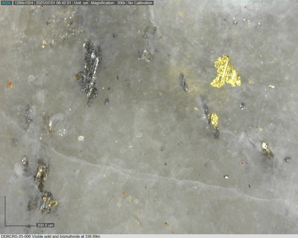 DDRCRG 25 006 336.69m