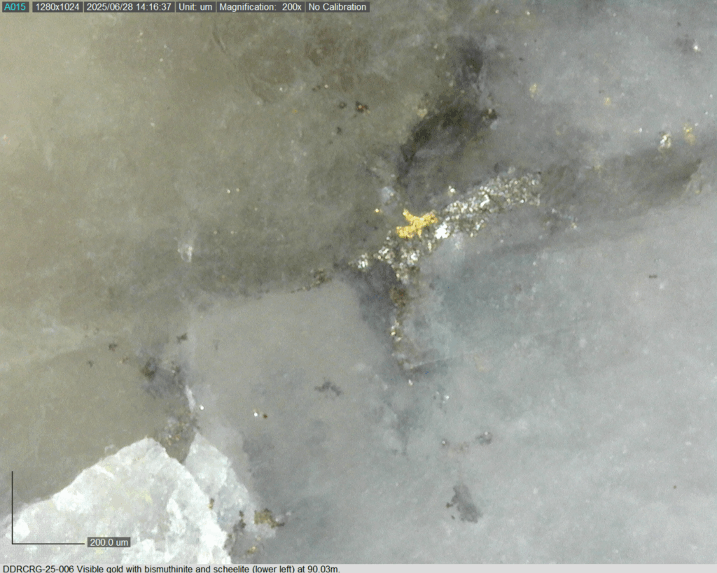 Ddrcrg 25 006 90.03m