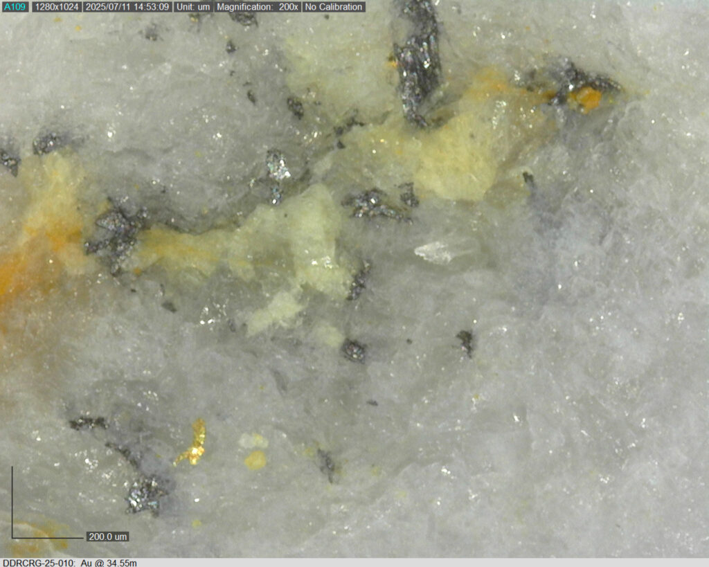 Ddrcrg 25 010 34 55m 200x 01