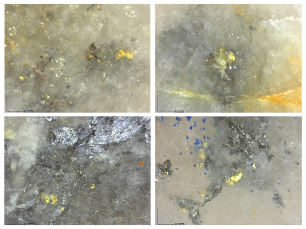 2026 01 22 Nr Image9